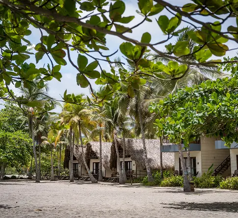 Rectangle59-ezgif.com-jpg-to-webp-converter