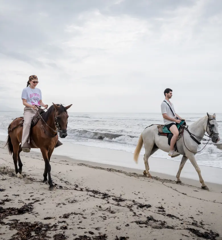 rectanglesss130SSS2x